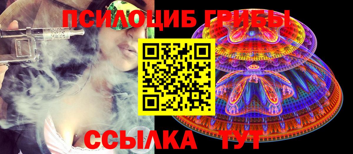 Псилоцибиновые грибы Cubensis Унеча