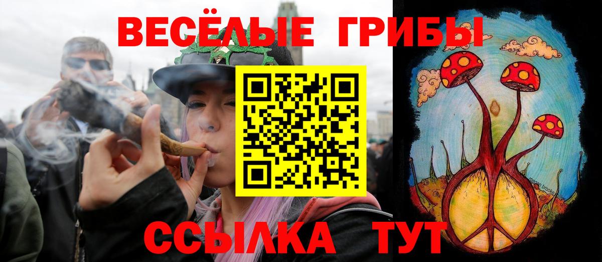 Унеча  где купить наркоту  Вход с VPN  Псилоцибиновые грибы Cubensis 